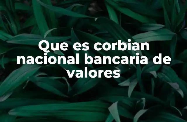 Que es Corbian Nacional Bancaria de Valores