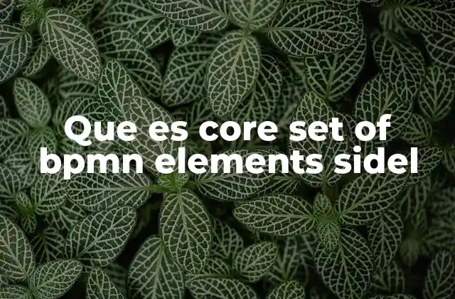 Que es Core Set Of Bpmn Elements Sidel