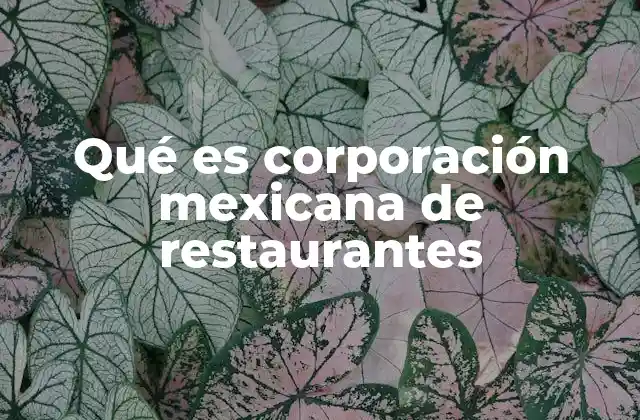 Qué es Corporación Mexicana de Restaurantes 2 El impacto de las marcas operadas por Corporación Mexicana de Restaurantes en la gastronomía nacional
