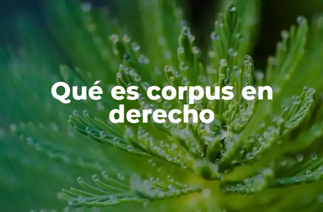 Qué es Corpus en Derecho