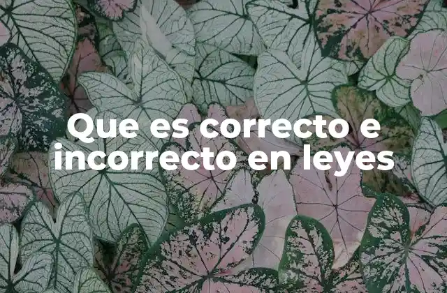 Que es Correcto e Incorrecto en Leyes