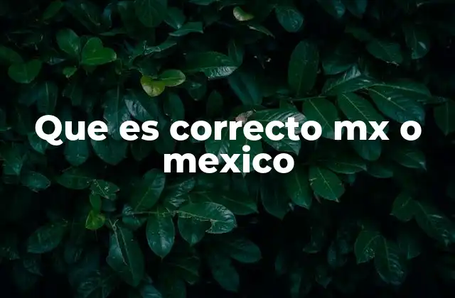 Que es Correcto Mx o Mexico