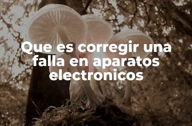 Que es Corregir una Falla en Aparatos Electronicos