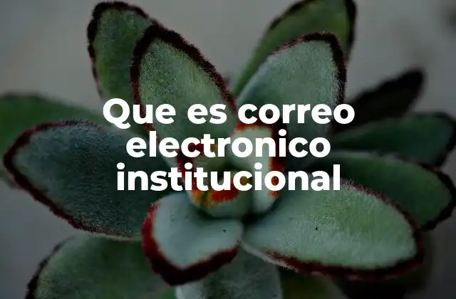 Que es Correo Electronico Institucional