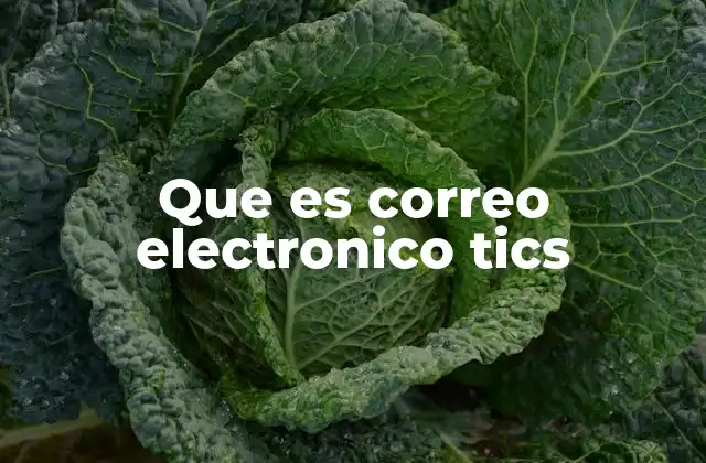 Que es Correo Electronico Tics 2 La relevancia del correo electrónico en el entorno digital