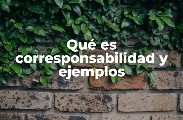 Qué es Corresponsabilidad y Ejemplos