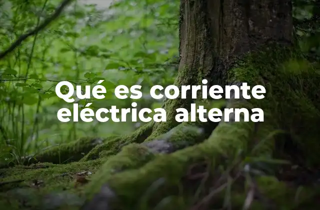 Qué es Corriente Eléctrica Alterna