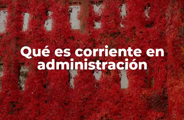 Qué es Corriente en Administración