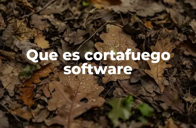 Que es Cortafuego Software 2 La importancia de la protección en redes modernas