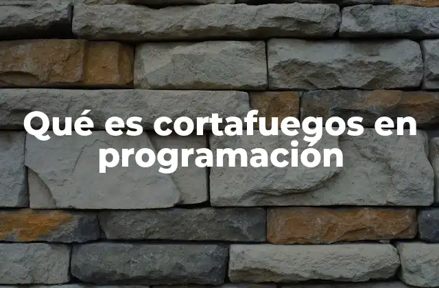 Qué es Cortafuegos en Programación