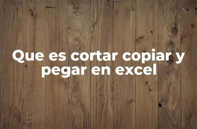 Que es Cortar Copiar y Pegar en Excel
