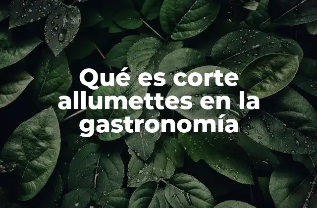 Qué es Corte Allumettes en la Gastronomía