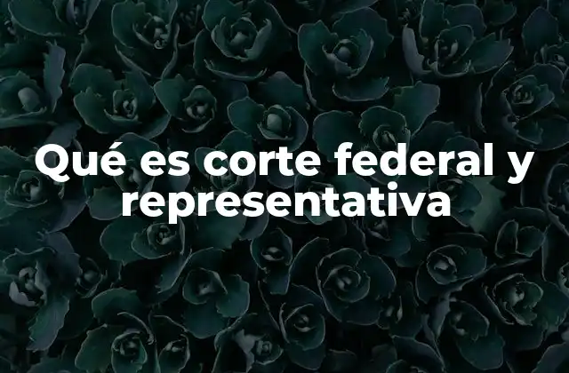 Qué es Corte Federal y Representativa
