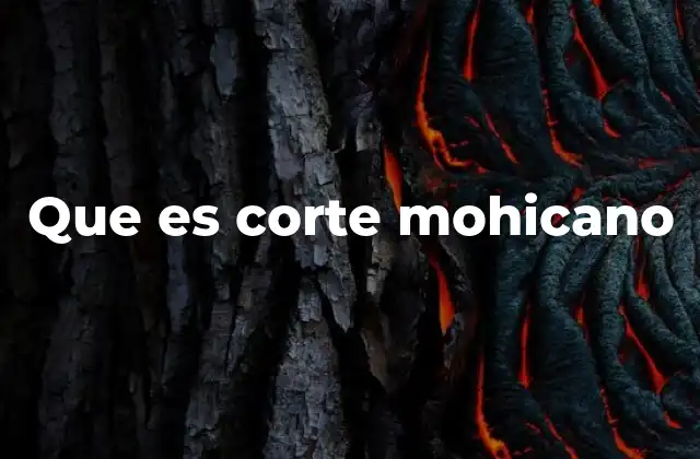 Que es Corte Mohicano