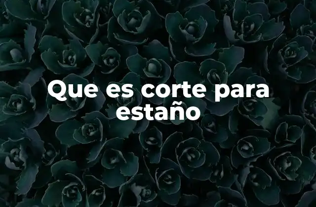 Que es Corte para Estaño