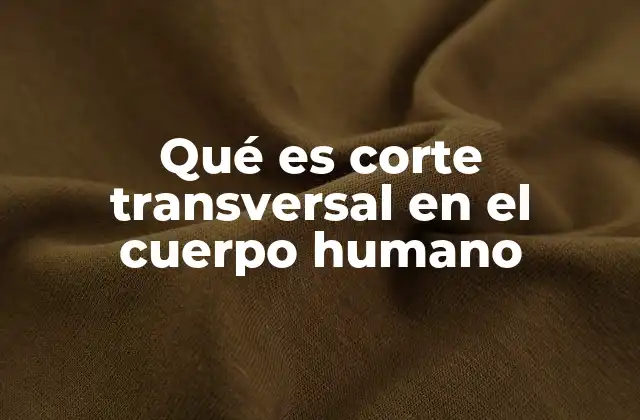 Qué es Corte Transversal en el Cuerpo Humano