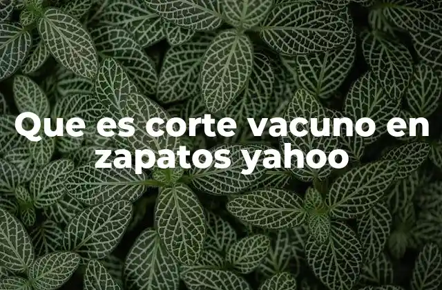 Que es Corte Vacuno en Zapatos Yahoo