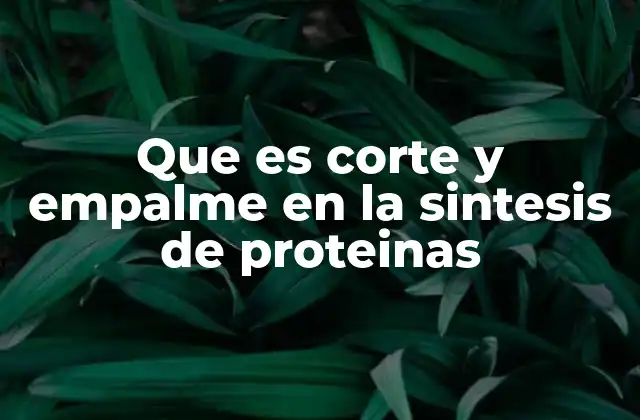 Que es Corte y Empalme en la Sintesis de Proteinas