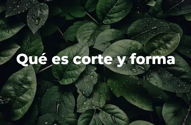 Qué es Corte y Forma