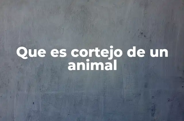 Que es Cortejo de un Animal 2 El cortejo como estrategia de supervivencia y reproducción