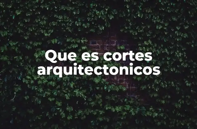 Que es Cortes Arquitectonicos