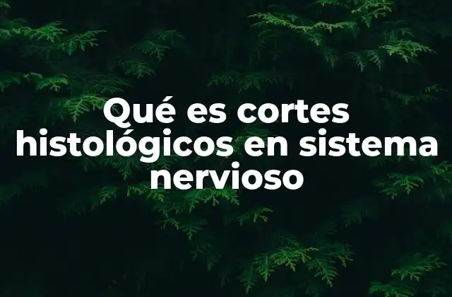 Qué es Cortes Histológicos en Sistema Nervioso