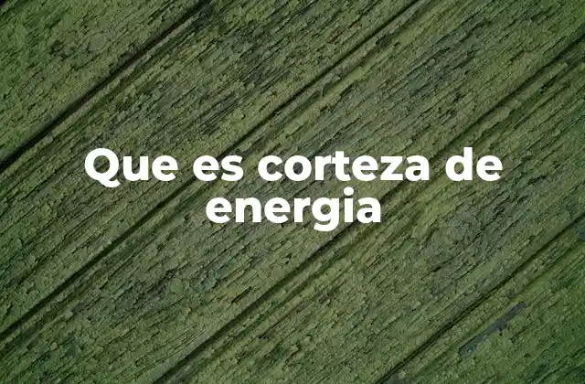 El campo energético que rodea a los seres vivos