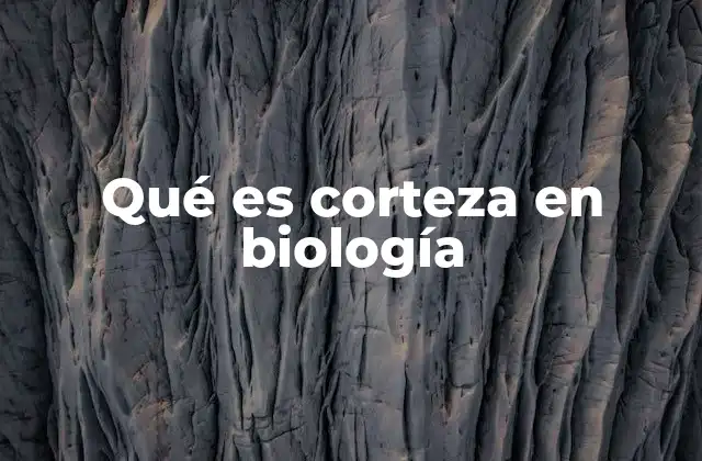 Qué es Corteza en Biología