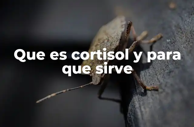 Que es Cortisol y para que Sirve