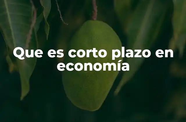 Que es Corto Plazo en Economía