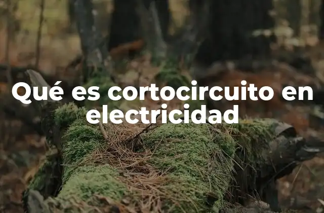 Qué es Cortocircuito en Electricidad
