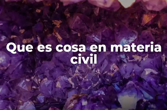 Que es Cosa en Materia Civil