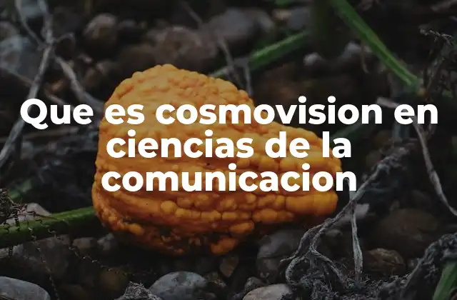 Que es Cosmovision en Ciencias de la Comunicacion