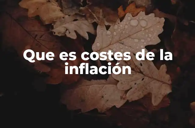 Que es Costes de la Inflación