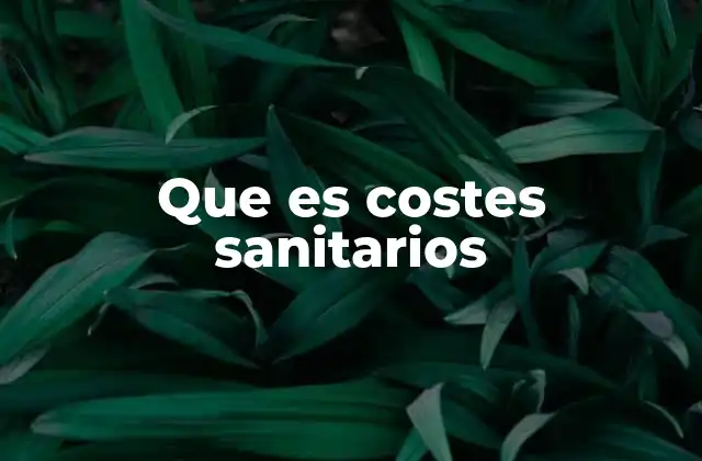 Que es Costes Sanitarios