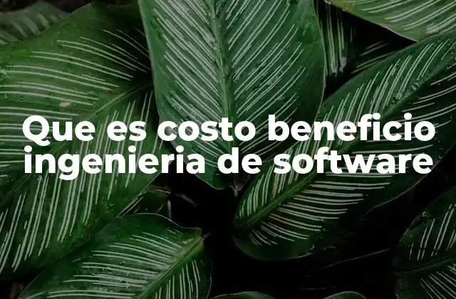 Que es Costo Beneficio Ingenieria de Software