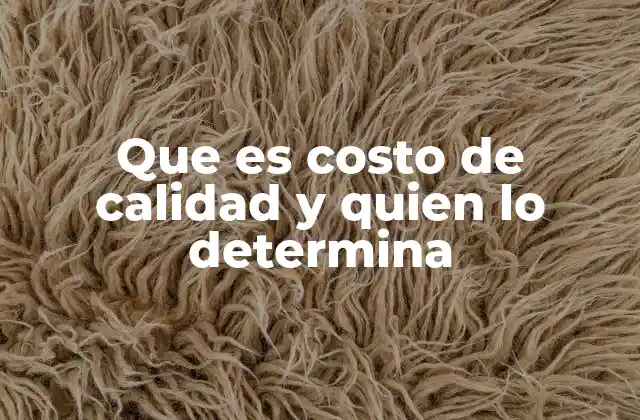 El rol de los diferentes actores en la gestión del costo de calidad