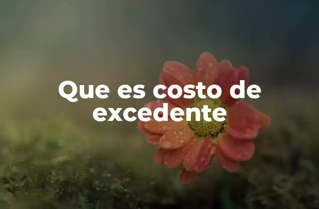 Que es Costo de Excedente