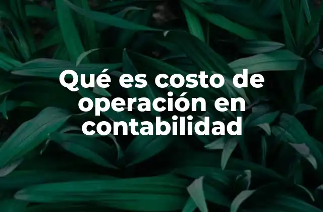Qué es Costo de Operación en Contabilidad 2 El rol del costo de operación en la toma de decisiones empresariales