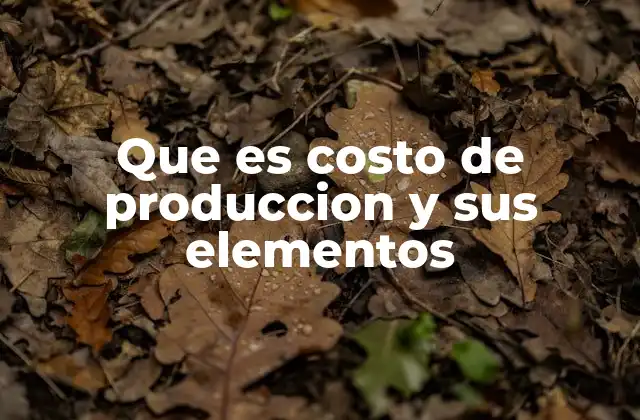 Que es Costo de Produccion y Sus Elementos
