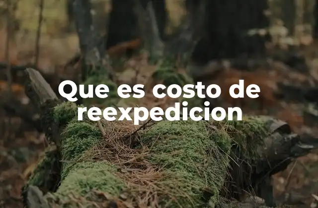 Que es Costo de Reexpedicion