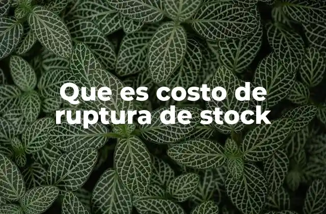 Que es Costo de Ruptura de Stock
