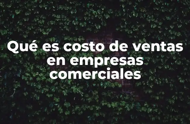 Qué es Costo de Ventas en Empresas Comerciales