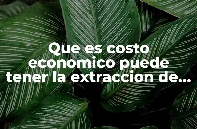 Que es Costo Economico Puede Tener la Extraccion de Petroleo