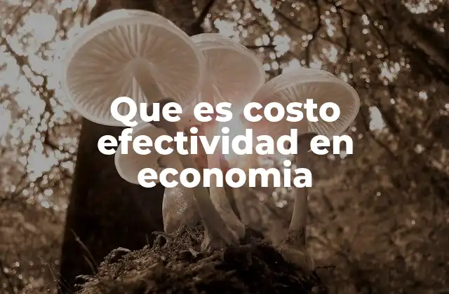 Que es Costo Efectividad en Economia