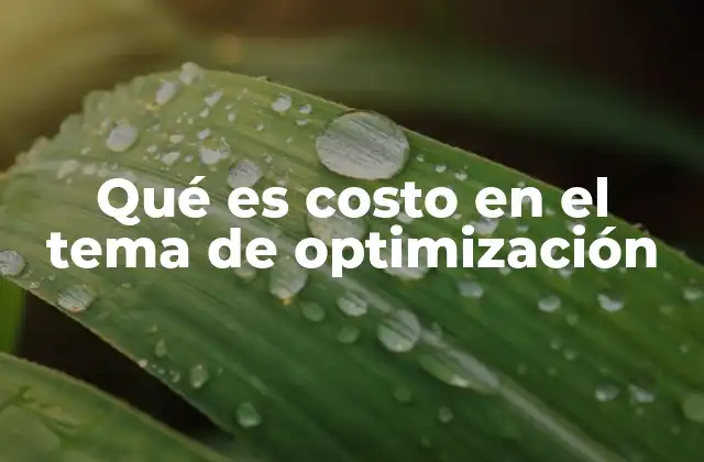 Qué es Costo en el Tema de Optimización