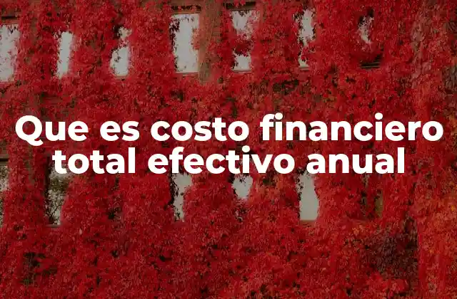 Que es Costo Financiero Total Efectivo Anual