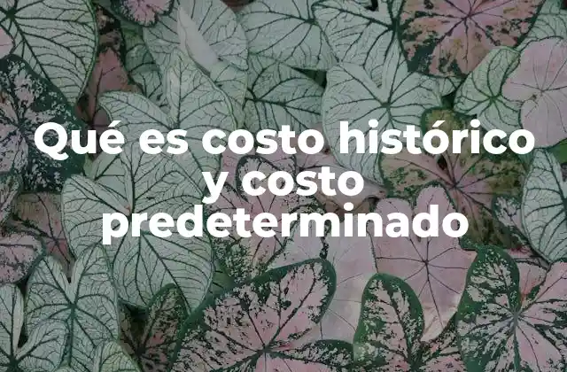 Diferencias entre costo histórico y costo predeterminado
