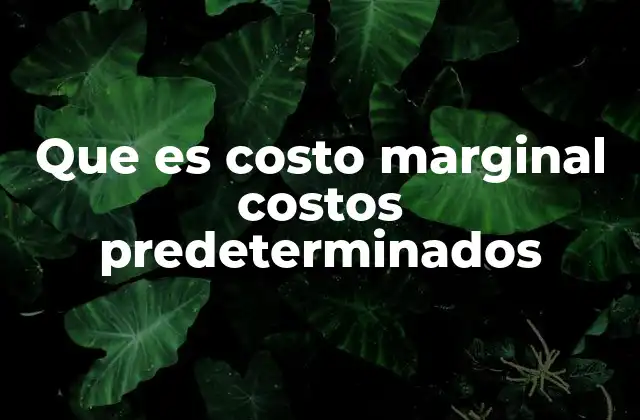 El impacto de los costos marginales y predeterminados en la toma de decisiones