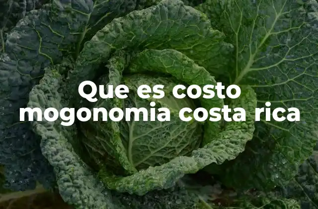 Que es Costo Mogonomia Costa Rica